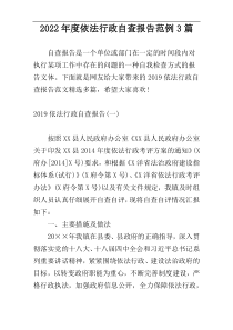 2022年度依法行政自查报告范例3篇