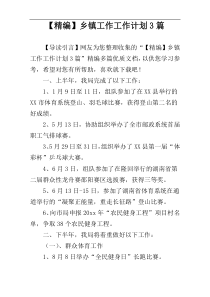 【精编】乡镇工作工作计划3篇