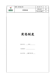(BT-RL-210)奖惩制度