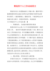 策划员个人工作总结范文