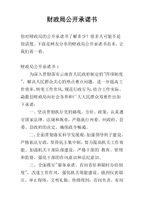 财政局公开承诺书