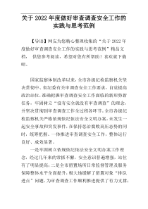 关于2022年度做好审查调查安全工作的实践与思考范例