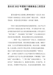县长在2022年度轻干部座谈会上的发言范例