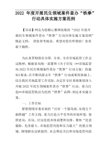 2022年度开展民生领域案件查办“铁拳”行动具体实施方案范例