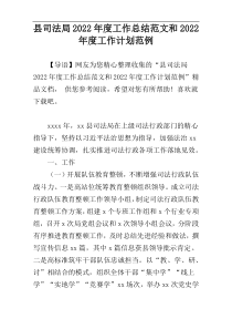 县司法局2022年度工作总结范文和2022年度工作计划范例_1