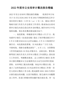 2022年度市公安局审计整改报告精编