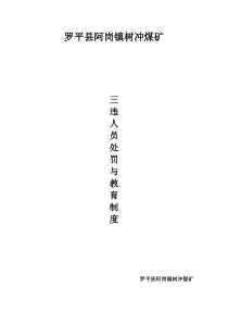 “三违”人员处罚与教育制度