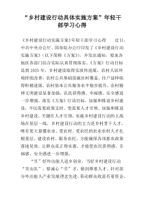 “乡村建设行动具体实施方案”年轻干部学习心得