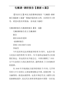 毛概课-调研报告【最新4篇】