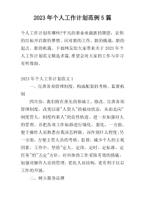 2023年个人工作计划范例5篇