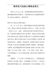 软件实习总结心得体会范文
