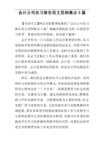 会计公司实习报告范文范例集合5篇