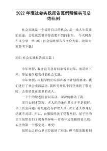 2022年度社会实践报告范例精编实习总结范例