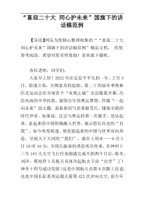 “喜迎二十大 同心护未来”国旗下的讲话稿范例