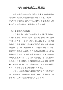 大学社会实践的总结报告