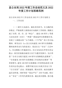 县公安局2022年度工作总结范文及2022年度工作计划思路范例