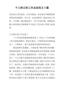 个人转正的工作总结范文5篇