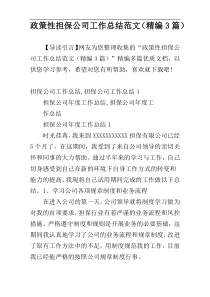 政策性担保公司工作总结范文（精编3篇）