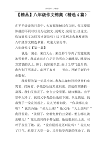 【精品】八年级作文锦集（精选4篇）