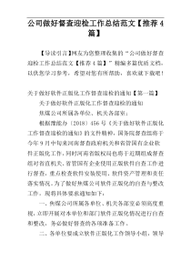 公司做好督查迎检工作总结范文【推荐4篇】