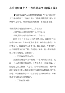 小公司经理个人工作总结范文（精编3篇）