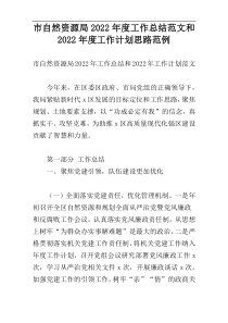 市自然资源局2022年度工作总结范文和2022年度工作计划思路范例