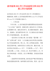 县市监局2021年工作总结范文和2022年度工作计划范例