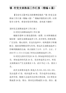 镇 村党支部换届工作汇报（精编4篇）