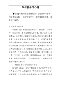 学标杆学习心得