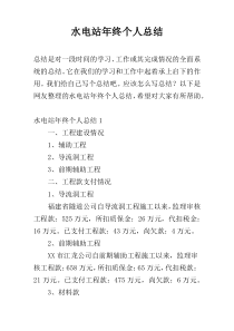 水电站年终个人总结