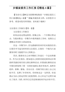 乡镇宣委员工作汇报【精选4篇】