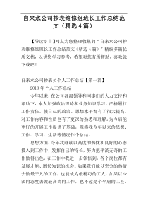 自来水公司抄表维修组班长工作总结范文（精选4篇）