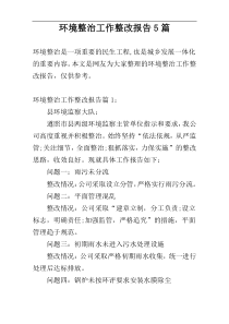 环境整治工作整改报告5篇