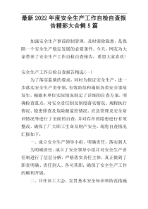 最新2022年度安全生产工作自检自查报告精彩大合辑5篇
