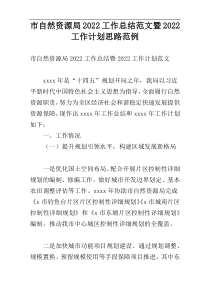 市自然资源局2022工作总结范文暨2022工作计划思路范例