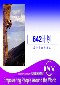 安利XXXX年最新奖金制度_(642标准版)生意计划opp