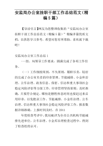 安监局办公室挂职干部工作总结范文（精编5篇）