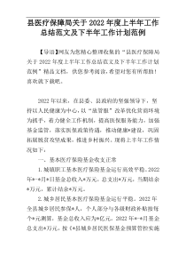 县医疗保障局关于2022年度上半年工作总结范文及下半年工作计划范例