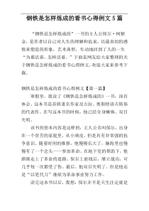 钢铁是怎样炼成的看书心得例文5篇