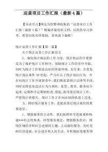 巡查项目工作汇报（最新4篇）