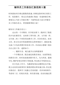 辅导员工作报告汇报范例5篇