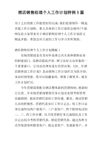 酒店销售经理个人工作计划样例5篇