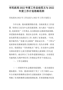 市民政局2022年度工作总结范文与2022年度工作计划思路范例