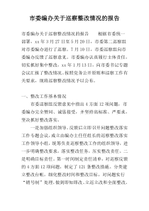 市委编办关于巡察整改情况的报告