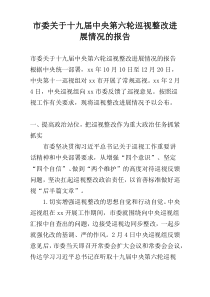 市委关于十九届中央第六轮巡视整改进展情况的报告