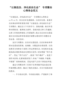 “以案促改、净化政治生态” 专项整治心得体会范文
