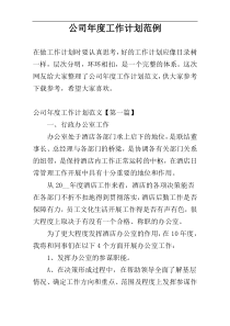 公司年度工作计划范例