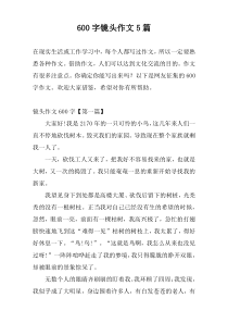 [600字]镜头作文5篇