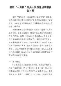 基层“一肩挑”带头人队伍建设调研报告材料