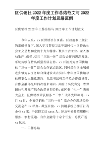 区供销社2022年度工作总结范文与2022年度工作计划思路范例